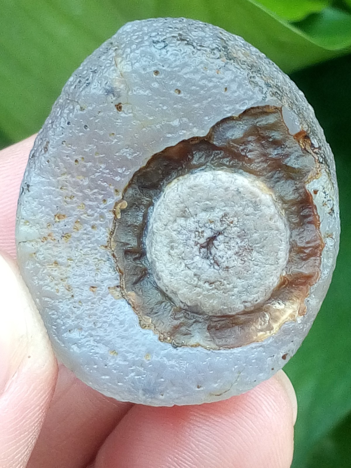 36mm Beautiful Natural Gobi agate eye agate stone collection