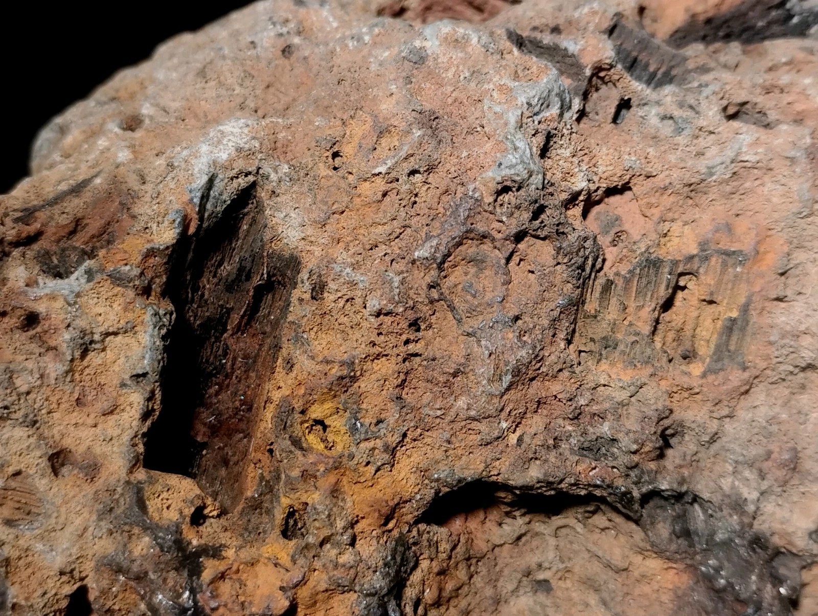 8″ Rare Missouri Iron-Aged Fossil Wood in Smoky Chalcedony – Knob Creek