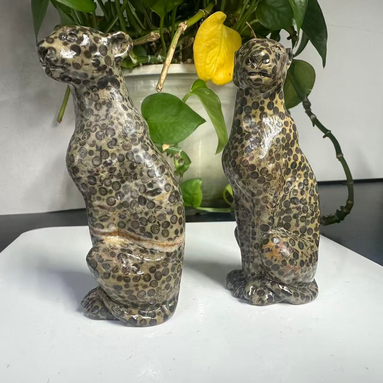1pc Natural Money Leopard Stone Quartz Carved Leopard Skull Crystal Reiki Decor