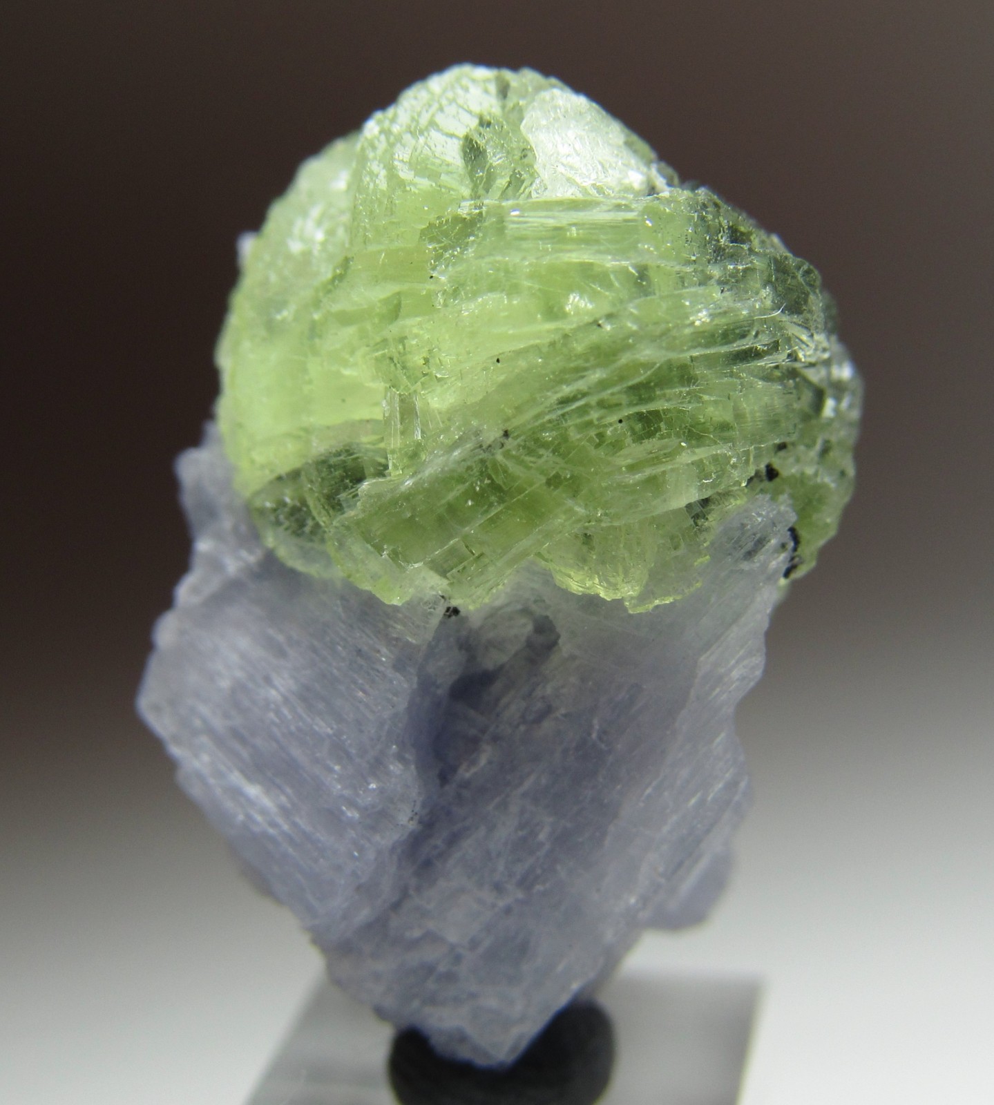 MAGICAL RARITY TANZANITE ON PREHNITE CRYSTAL!!! TANZANIA NEW FIND