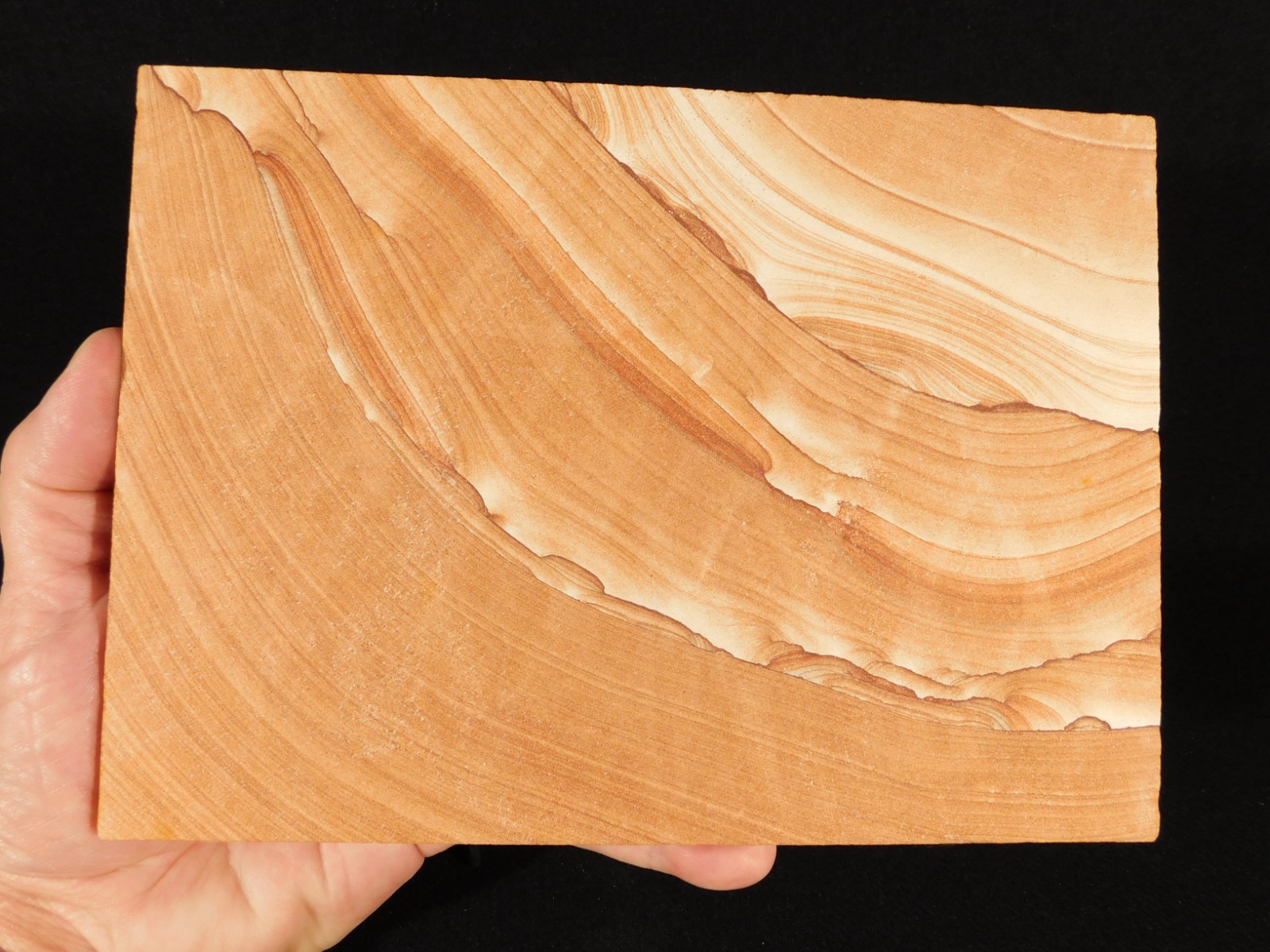 wOw! LARGER PICTURE Stone or SANDSTONE Slice/Slab with Display Stand Utah 541gr