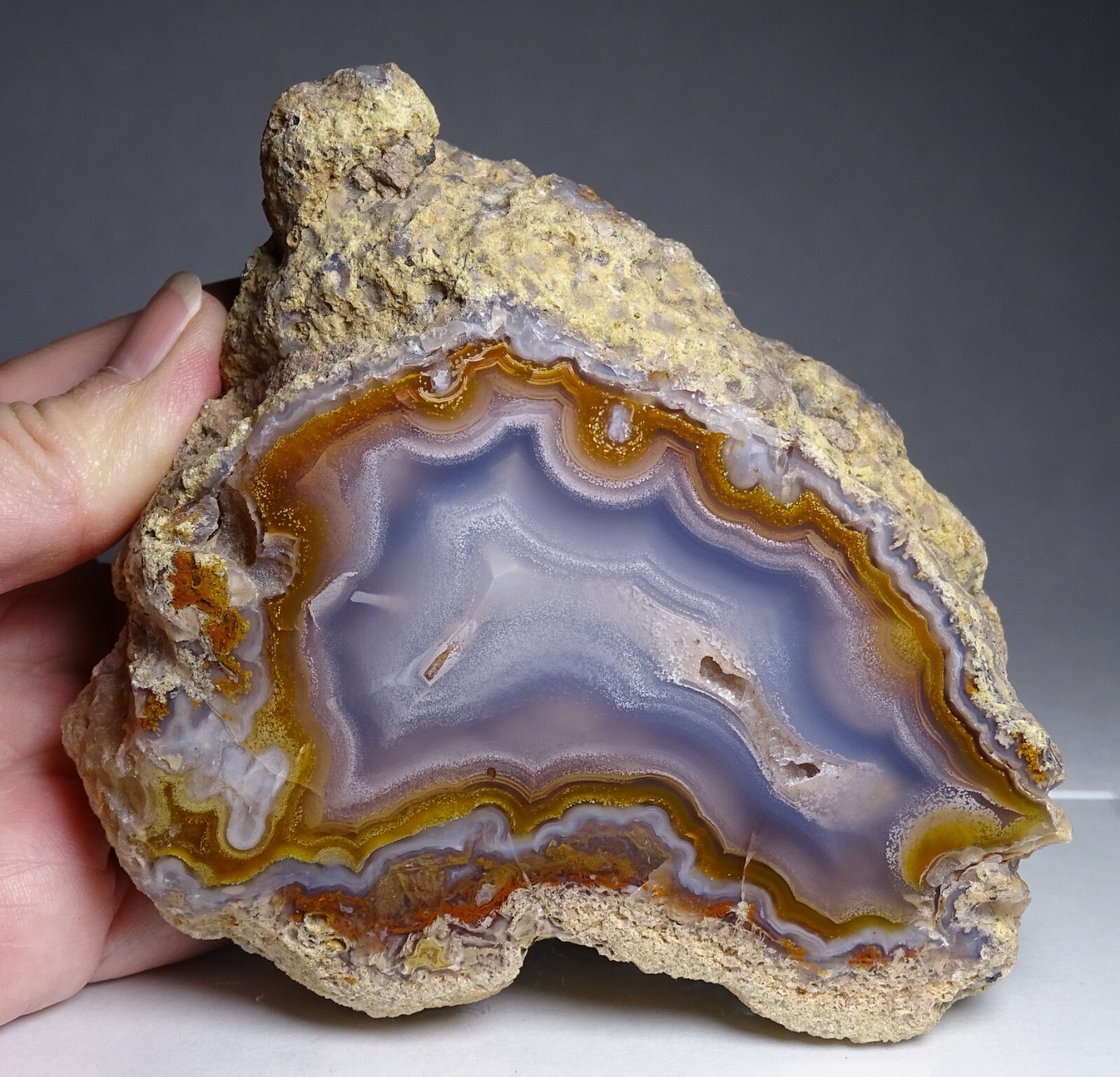Coyamito Agate Half Nodule Mexico