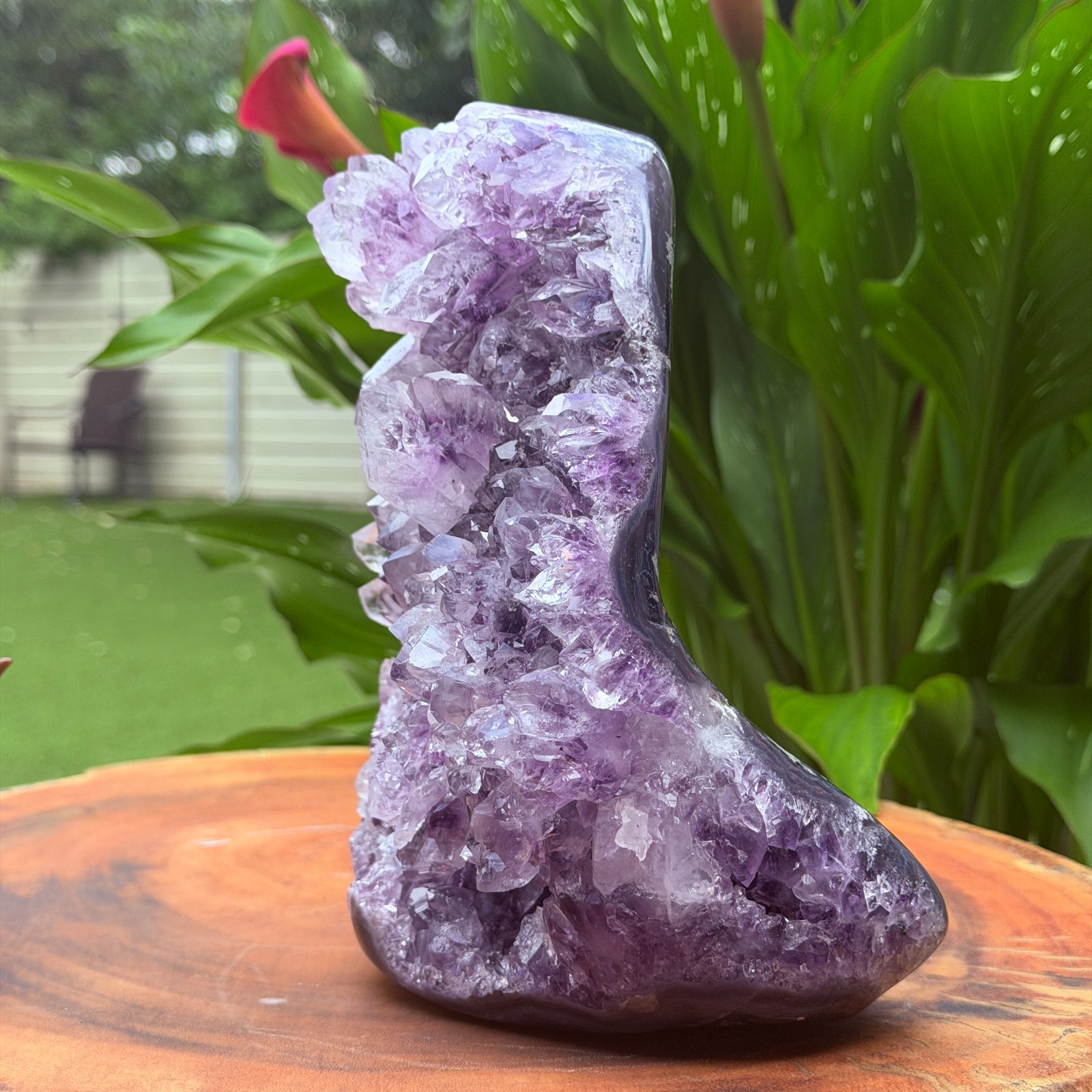 Massive Museum Grade Amethyst Geode Specimen 3.49kg Serra do Sol Brazil