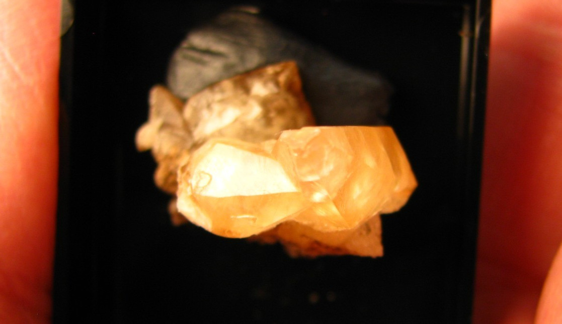 GOLDEN DOGTOOTH CALCITE CLUSTER THUMBNAIL IN CASE MARBLEHEAD QUARRY OHIO #224