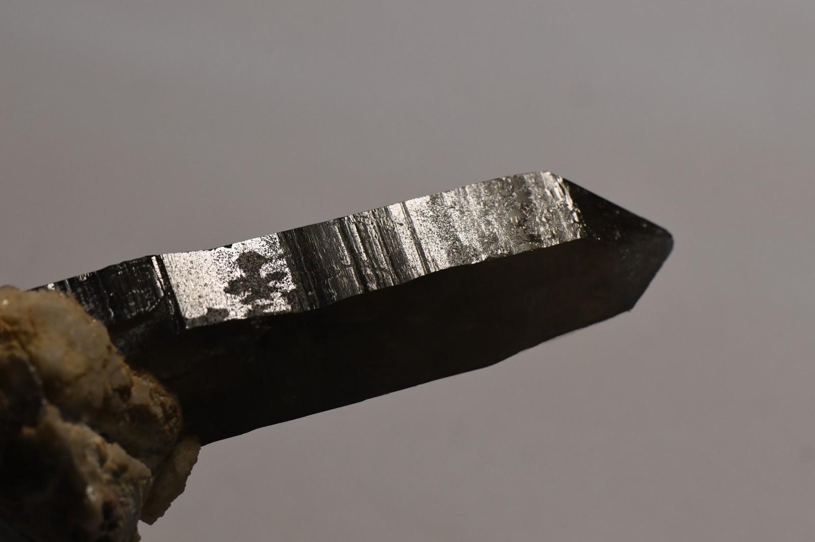 #31 Very Dark Smokey Quartz Crystal Sawtooth Mts Idaho 3.6 x 1.5 x 2.0 inches