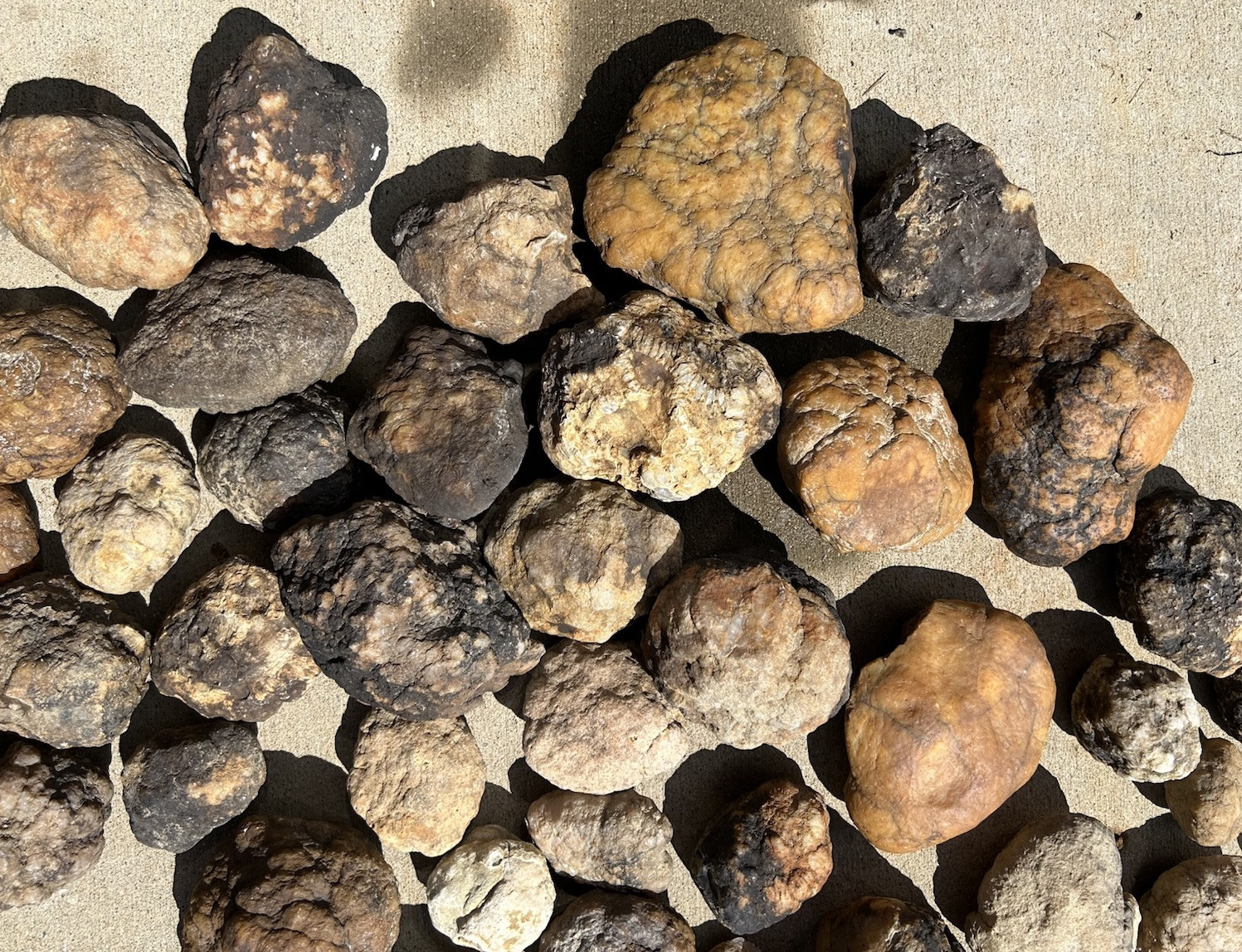 2 Lbs Bulk Lot Unopened Geodes/Nodules Natural Solid, Semi Solid-Break Your Own