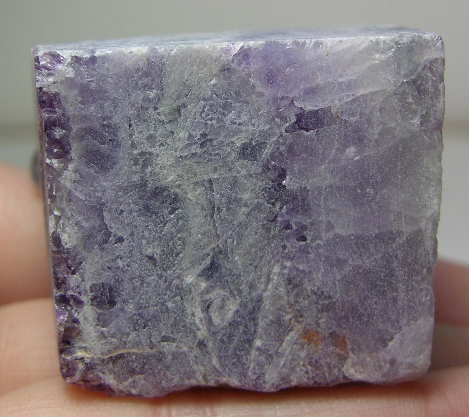#5 Natural 100% 48mm MultiColor Fluorite Bear Carving On Fluorite Rock 1 7/8 in