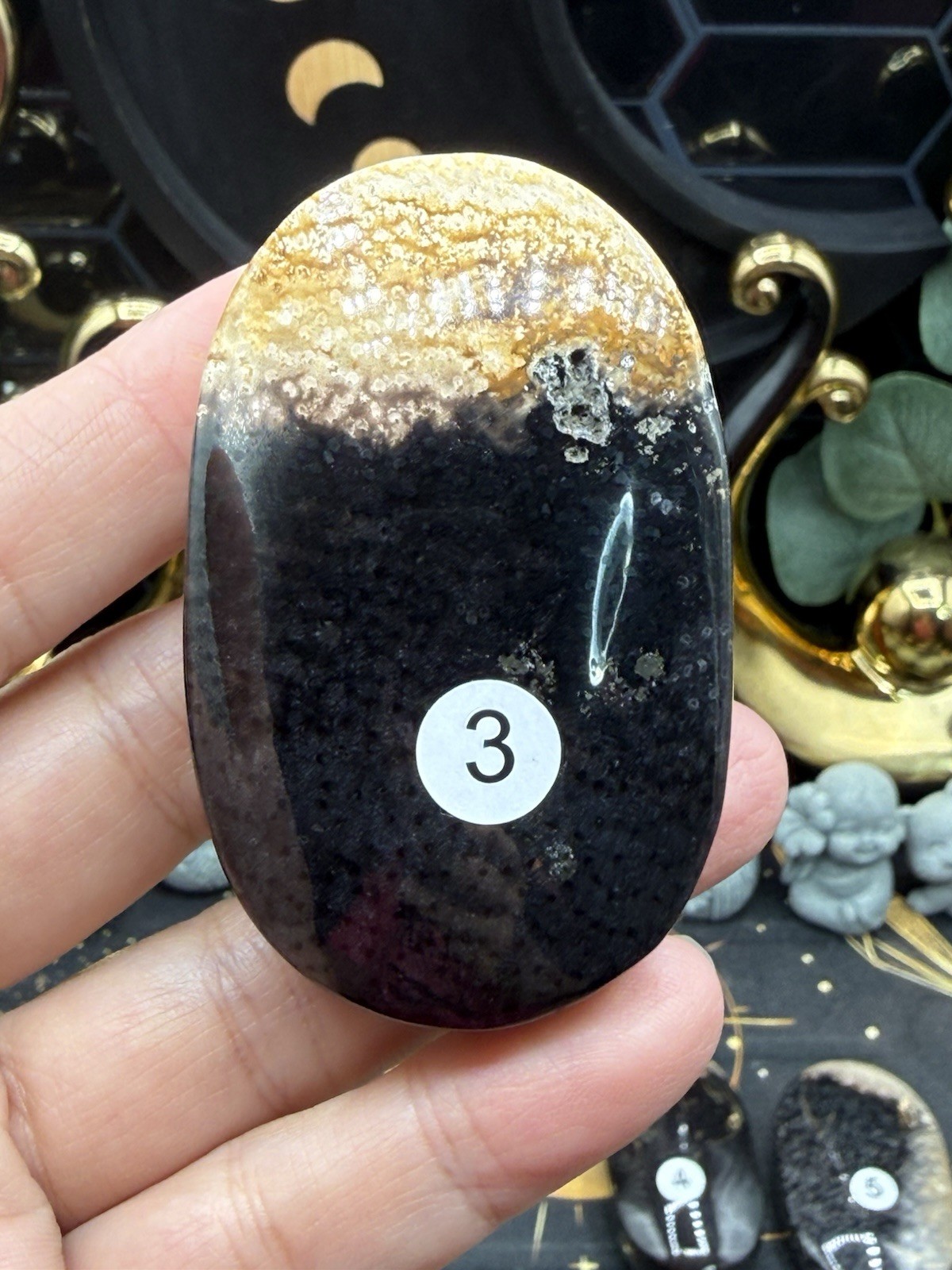 Natural Indonesian Palm Root Palmstones Fossilised Wood Free shipping