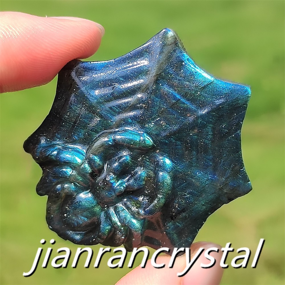 Natural Labradorite Hand Carved Spider Quartz Crystal Skull Healing Reiki 1pc