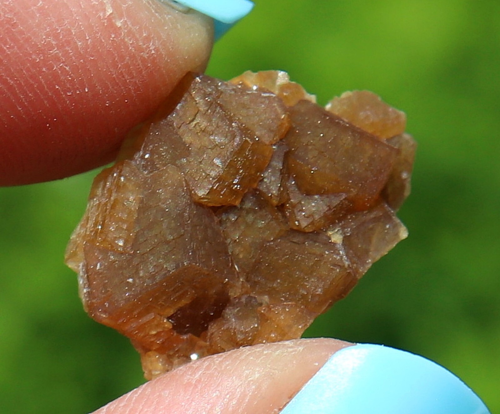 Andradite Garnet Gemmy Golden Brown From Dal’negorsk Russia 1.8 Cm’s