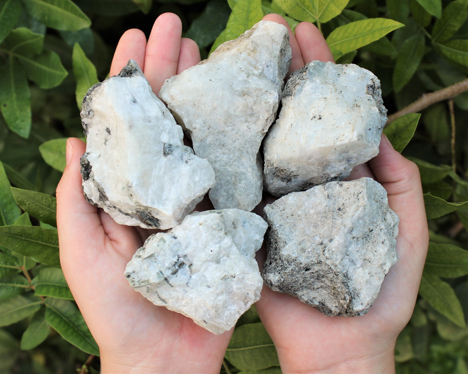 JUMBO Rainbow Moonstone Natural Raw Crystals – HUGE Rough Rainbow Moonstone
