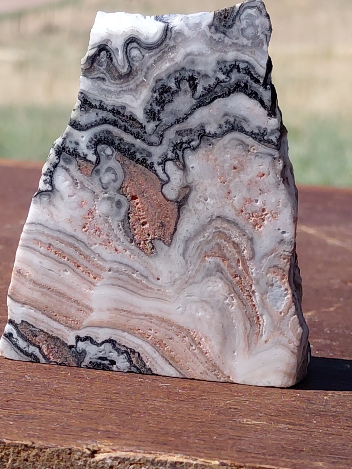 Zebra Calcite Self-Standing “Wedge” Dspl UV Psychedelic Wavey Band 3x 2 1/2″