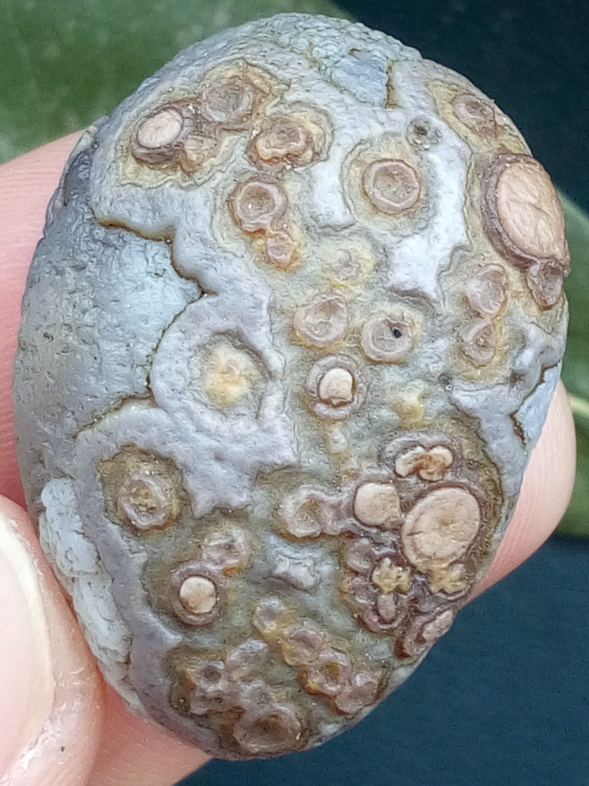 12g/36mm Natural GoBi Agate eye agate/stone cute collection