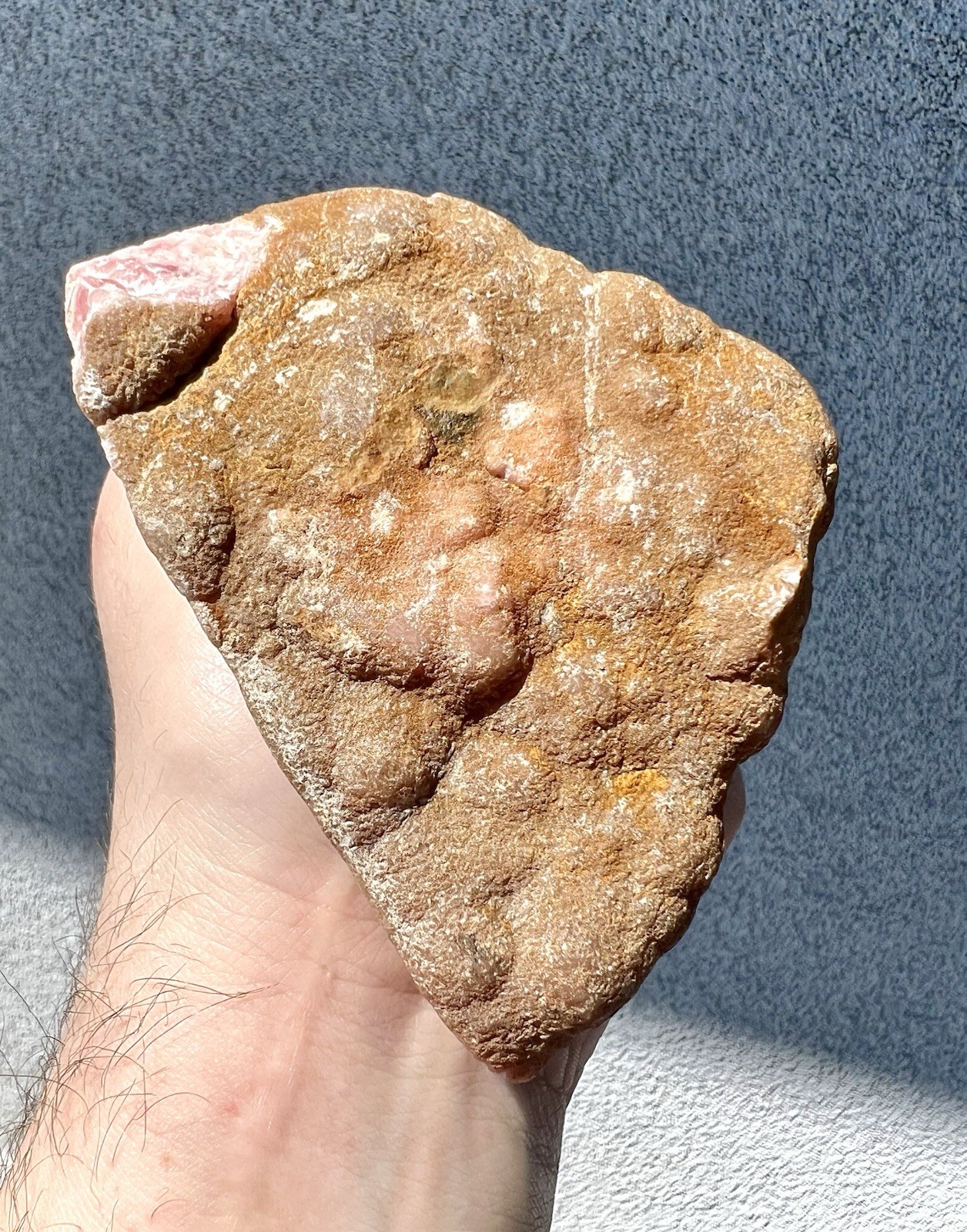 2.0 Pound: Rhodochrosite Radial Scalenohedral Ortiz Crystal Capillitas Argentina
