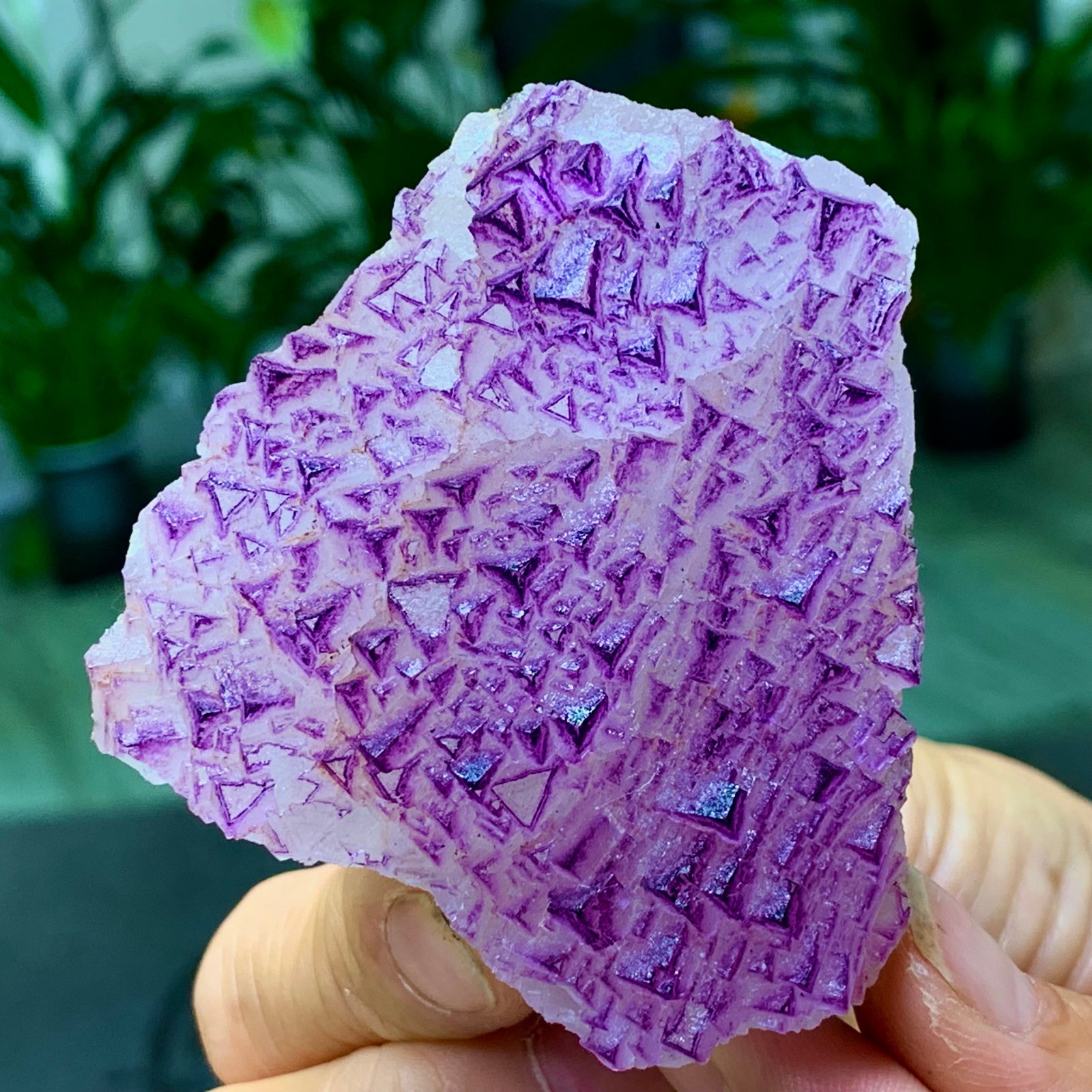 153G Natural fluorite purple edged cubic crystal mineral sample