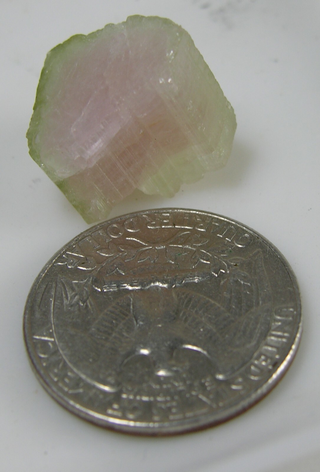 28.10ct Brazil 100% Natural Bi-Color Tourmaline Crystal Specimen 5.60g 16.00mm