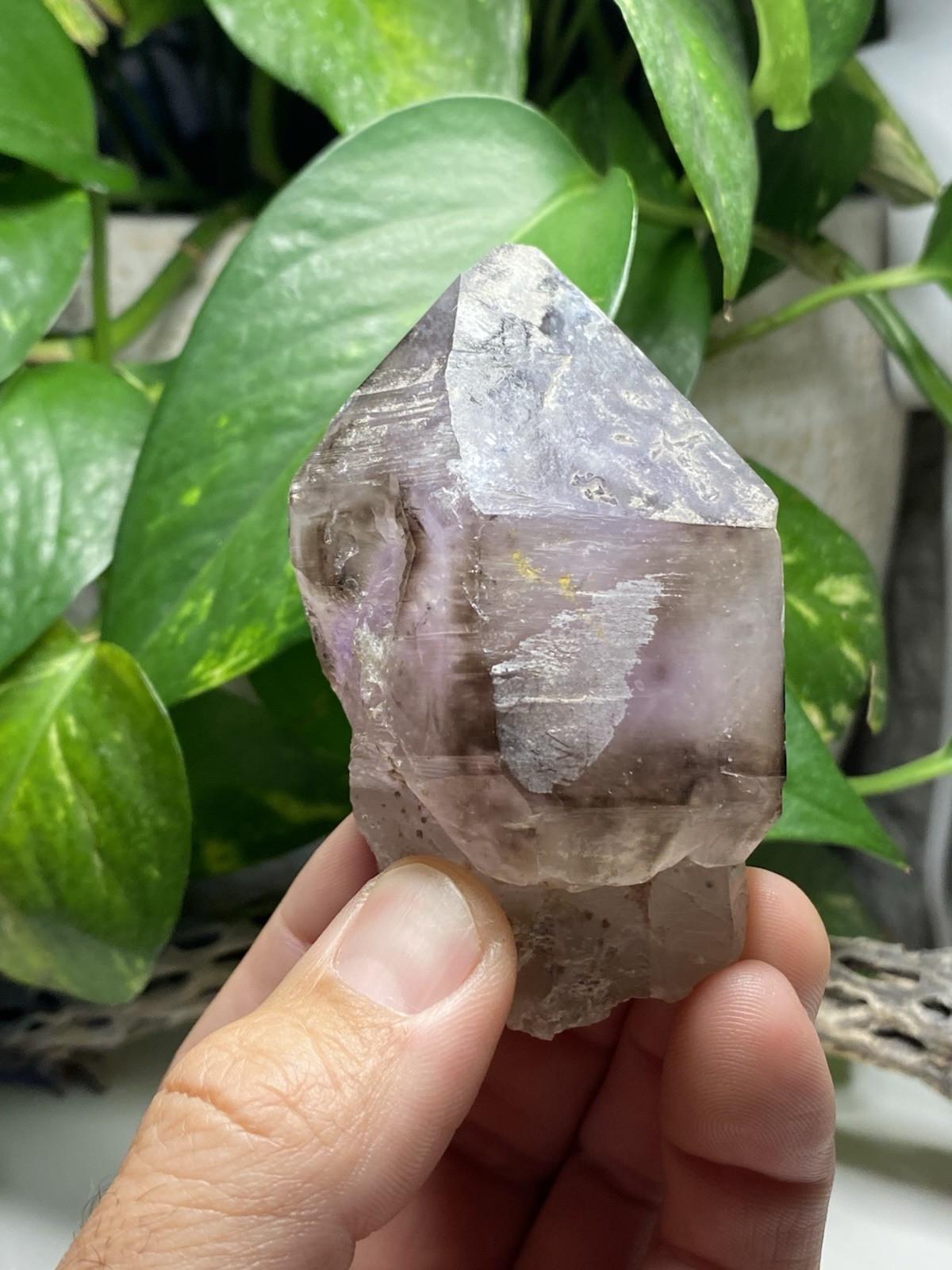 269 Gram Large Smoky Amethyst Scepter – Namibia, Africa