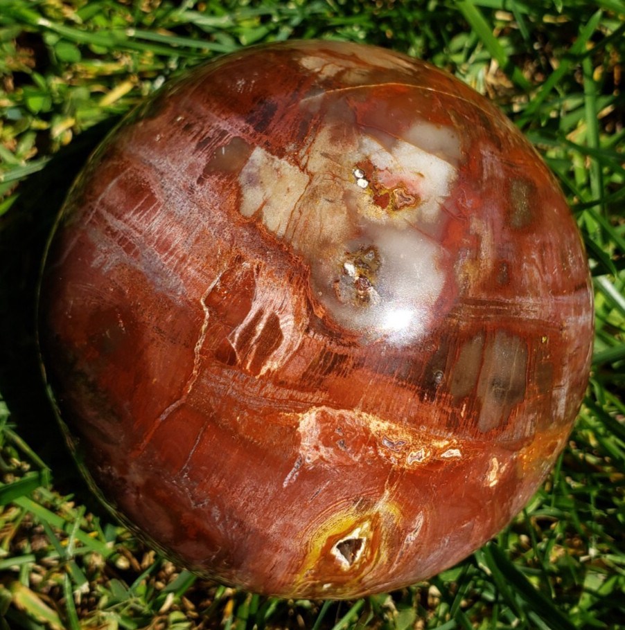 3.36″ Red Petrified Wood Sphere Orb Quartz Crystal Ball Fossil Mineral UV, 865g