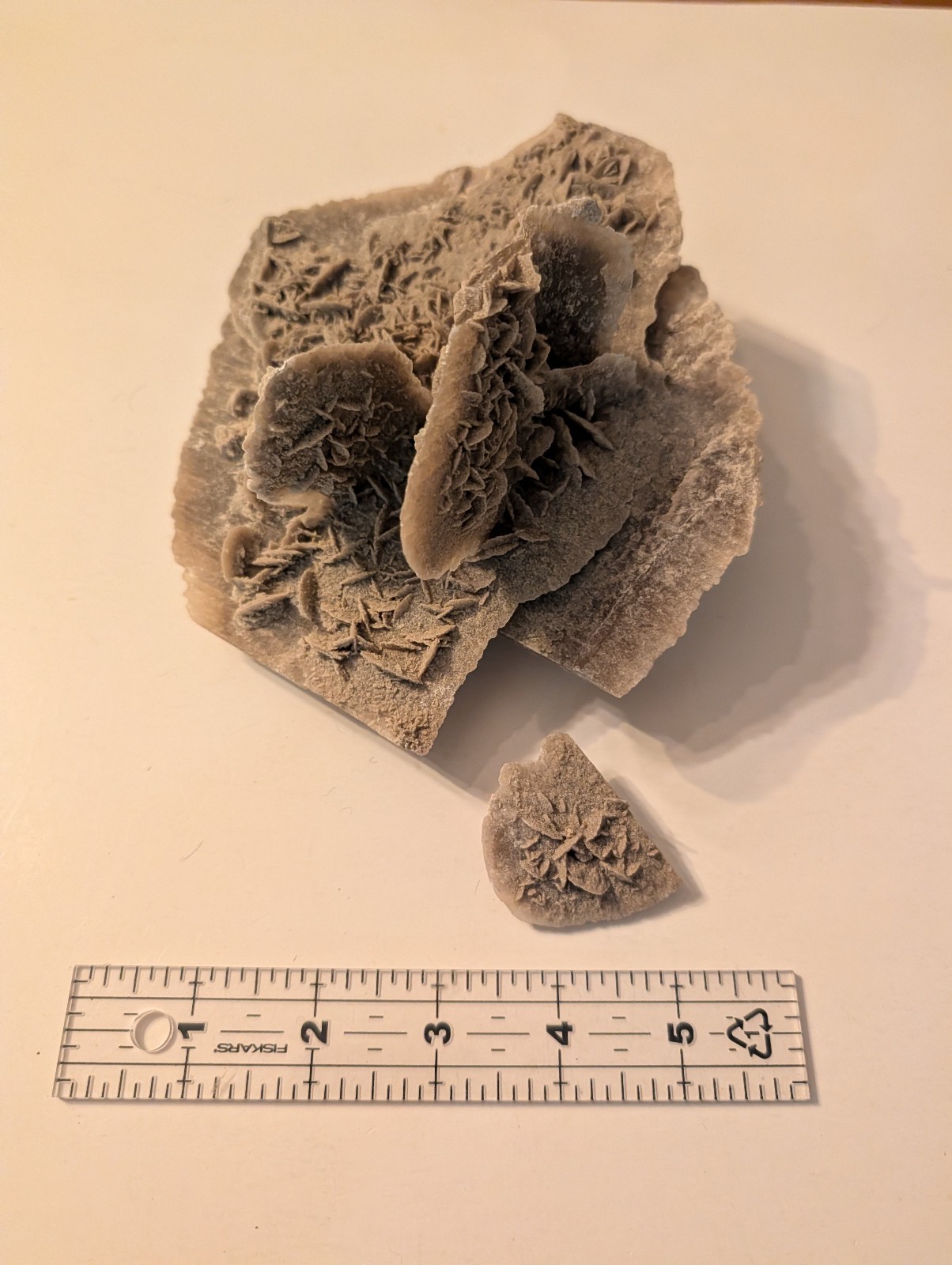 Large Desert Rose Selenite Gypsum Crystal Cluster Raw Mineral Specimen
