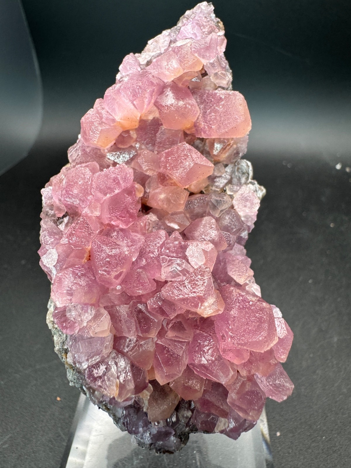 6869 HIGH QUALITY, Huge, Gemmy Cobaltoan Calcite Crystals Morocco 195g
