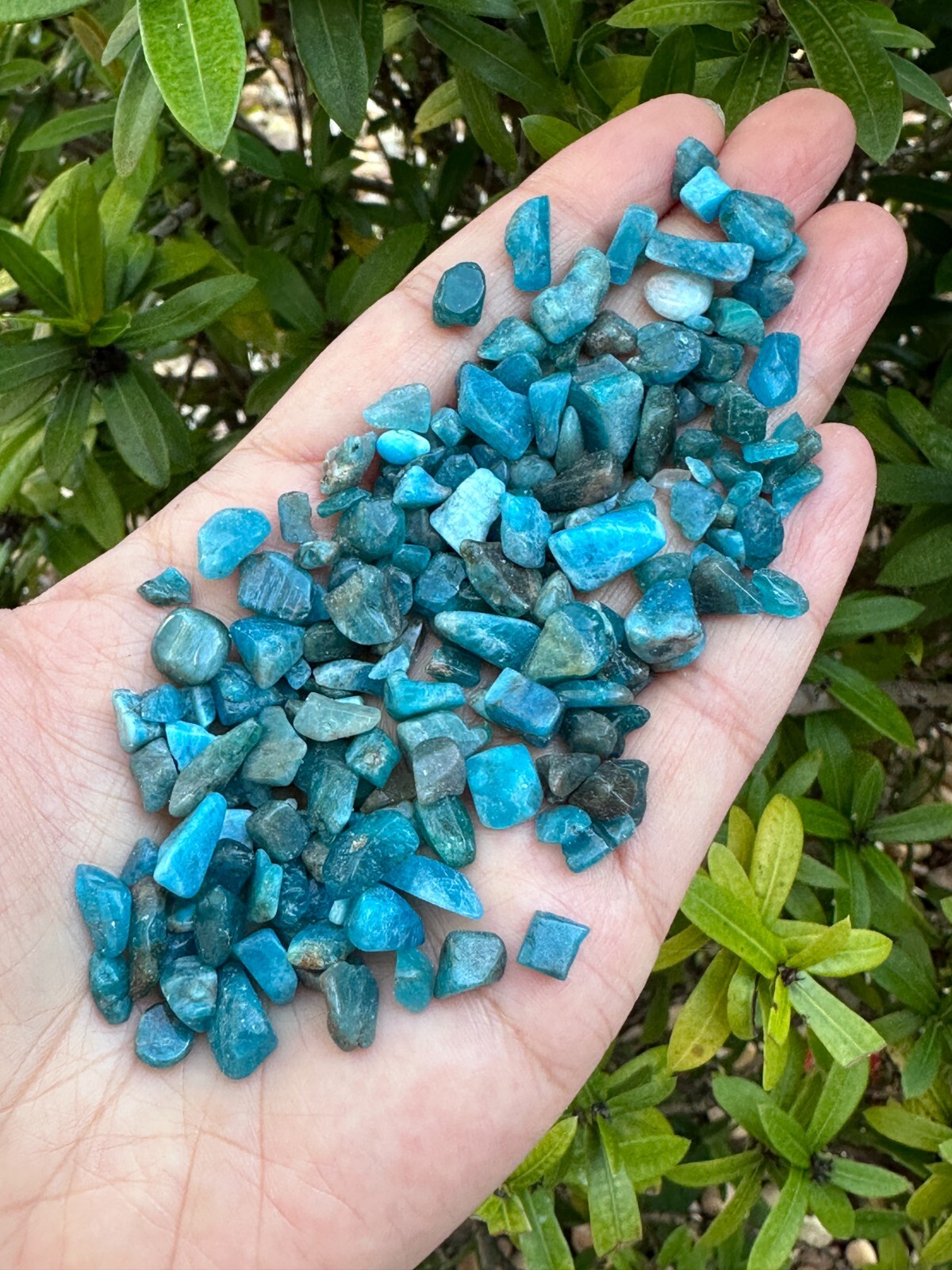 Grade A++ Apatite Semi Tumbled Gemstone Mini Chips 4 – 8 mm, Wholesale Bulk Lot