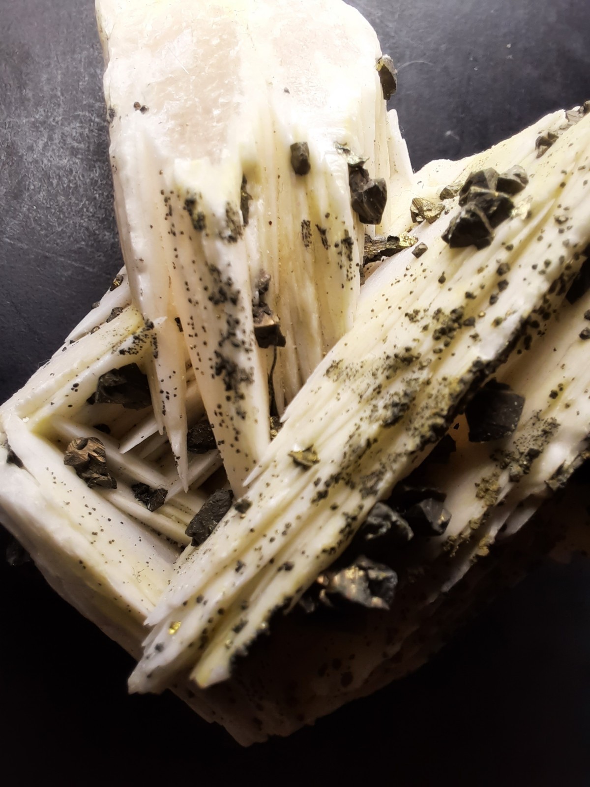 Pyrite Crystals on Barite, Morocco 2 1/2 x 1 5/8th x 1 inch