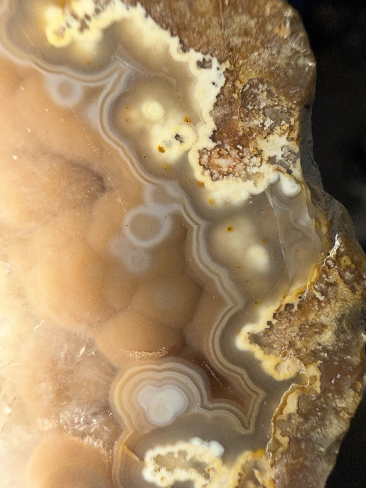 5 Mirror Polished Kentucky Agate Specimens. Nice Variety Fortifications Banding