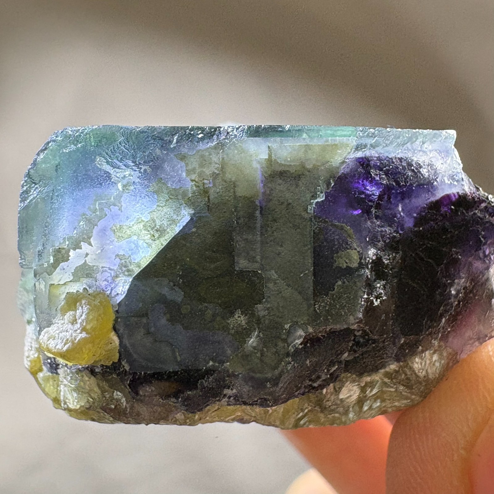 Natural Phantom Fluorite w/ Green Mica Raw Mineral Specimen w/ Acrylic Stand