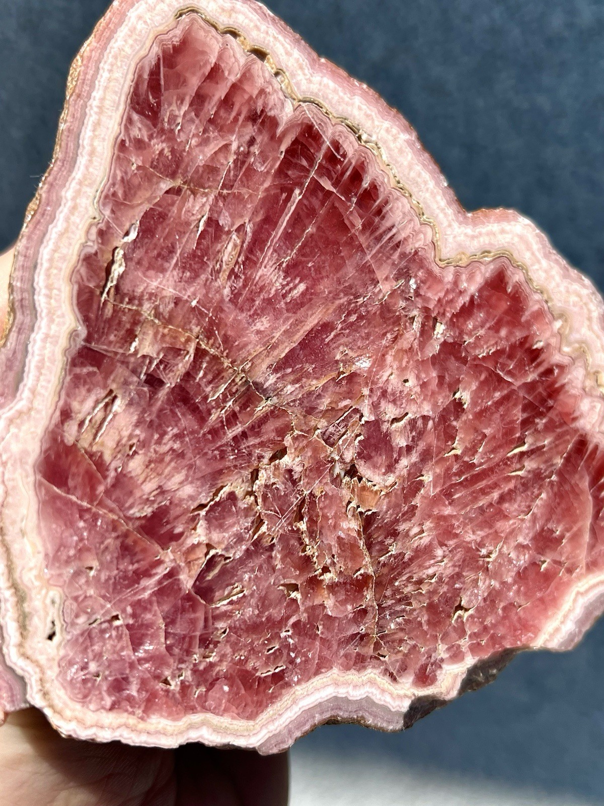 2.0 Pound: Rhodochrosite Radial Scalenohedral Ortiz Crystal Capillitas Argentina