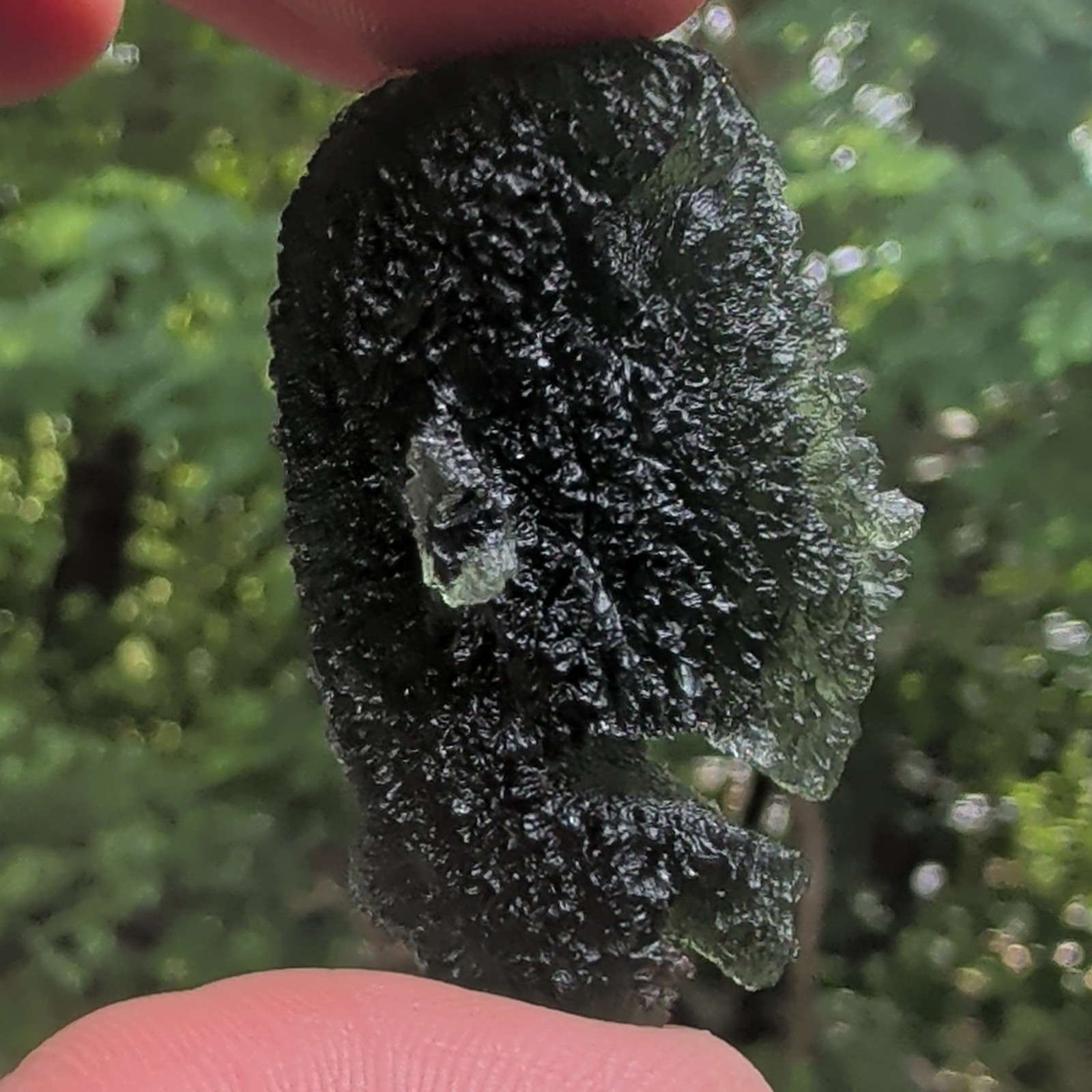 Abnormal And Unique Moldavite Specimen👽☄️💚