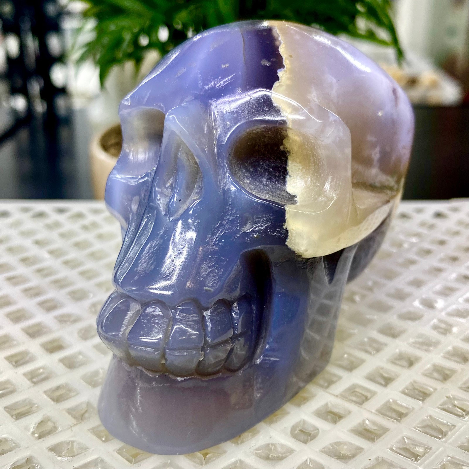465G Natural Crystal Rare Banded Blue Flower Agate Skull Carving