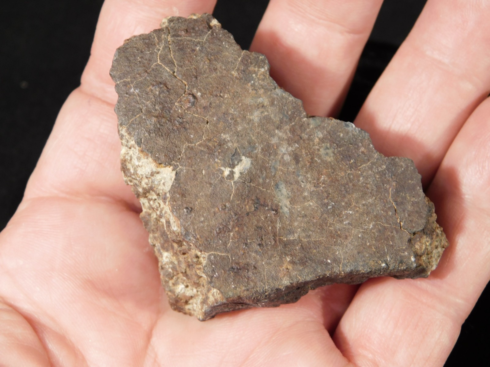 Classified NWA 8245 METEORITE 100% Natural FELL on Erfoud, Morocco 114gr