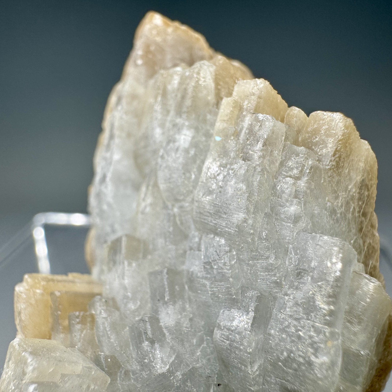 Fine Baryte Crystal Group: Paga No. 1 Mine, Cartersville, Georgia- Classic!!