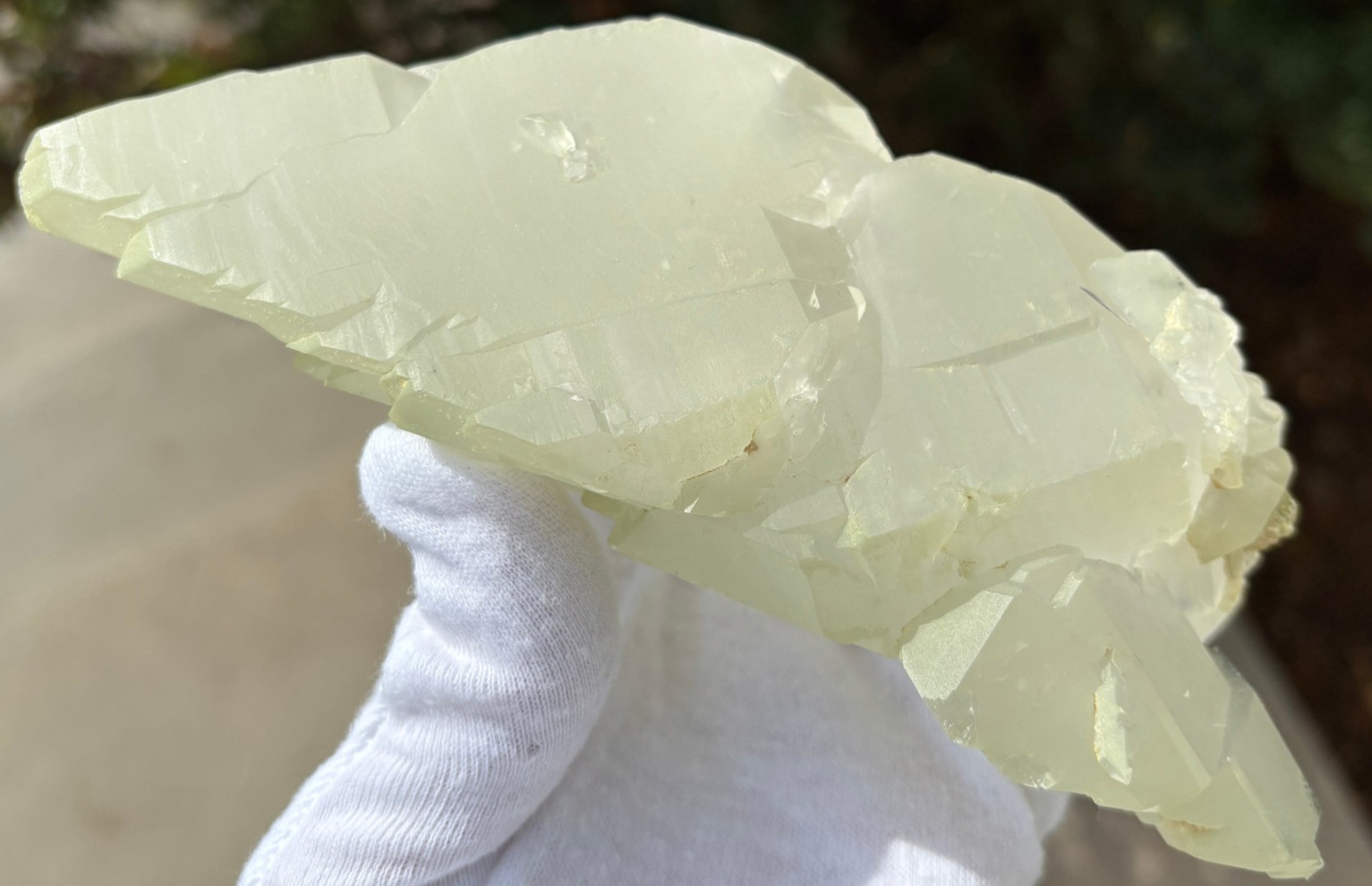 USA SALE SEE VIDEO 479g 1LB+ 6.1″ LARGE ELESTIAL EPIDOTE QUARTZ CRYSTAL SPECIMEN