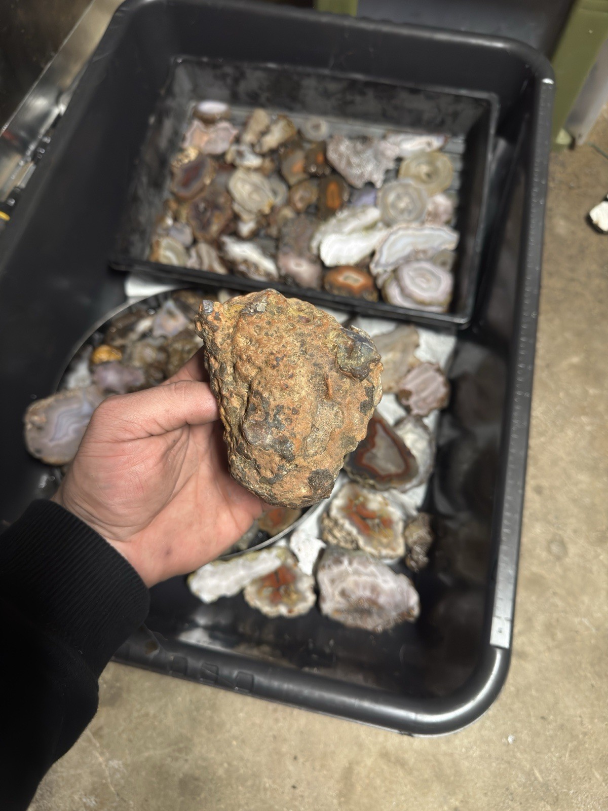 Condor Agate Half Nodule – 14 oz Polished Collector Specimen | Argentina