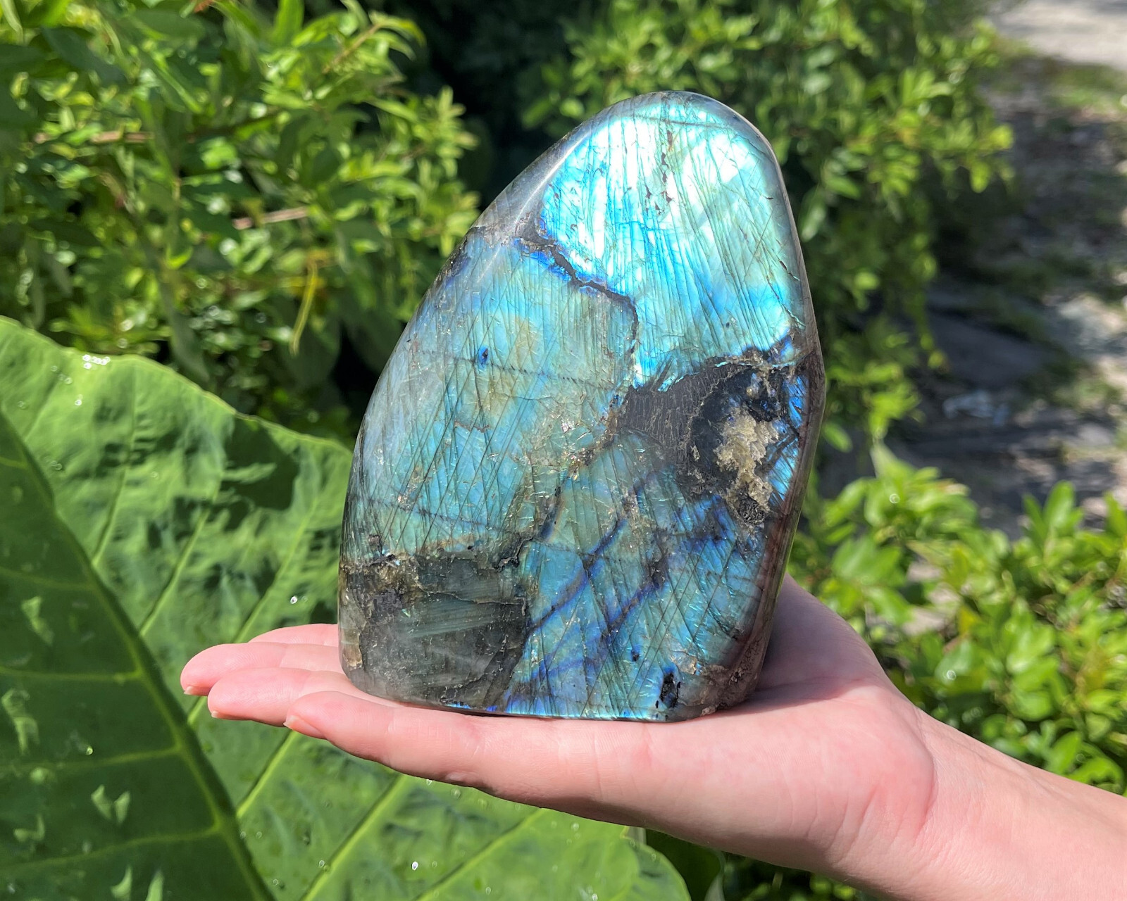 JUMBO Polished Labradorite Freeform: High Flash Free Standing Crystal Specimens