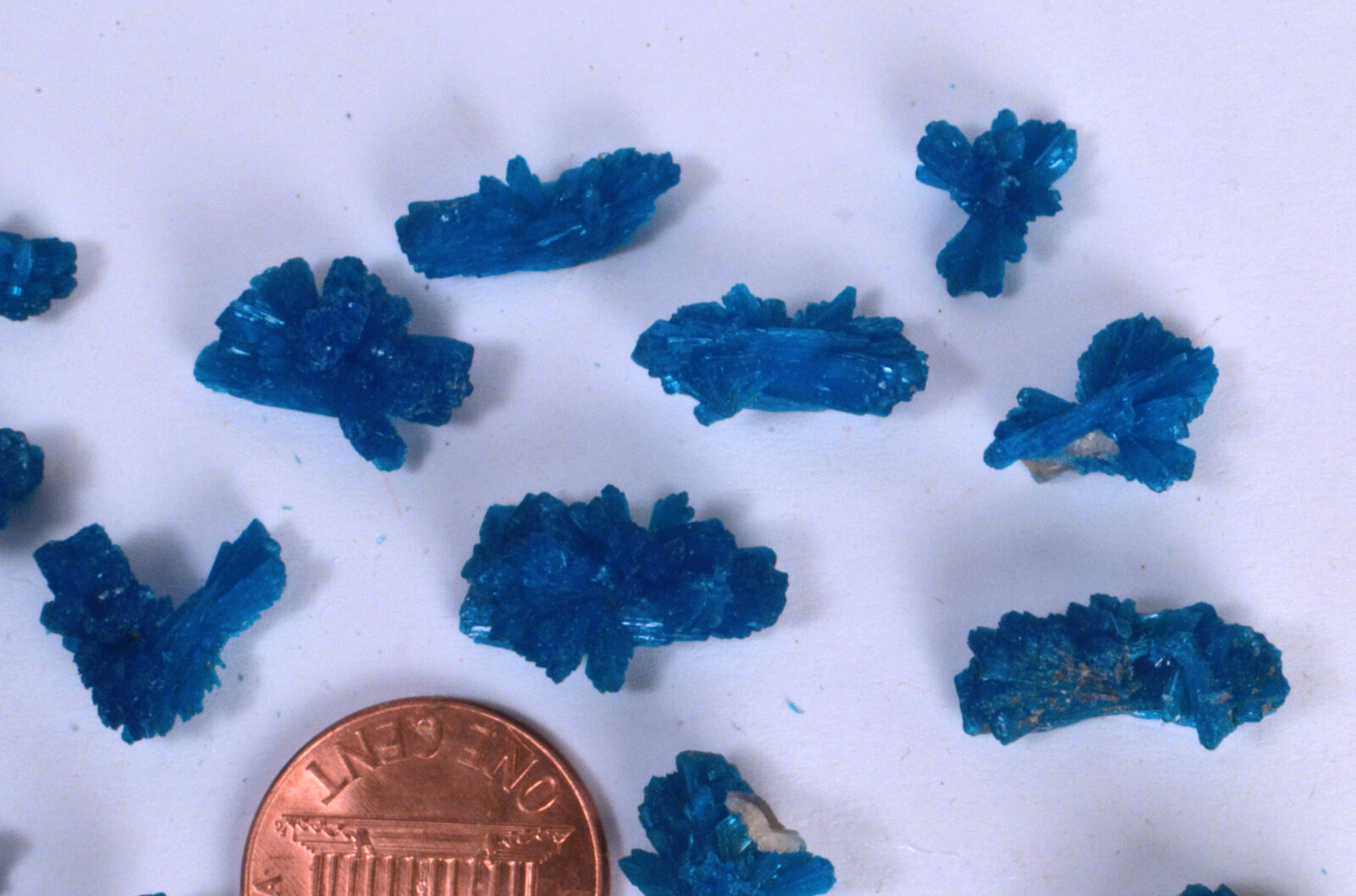 #9080 Cavansite-India–Large “Bowties”/ Unusual shapes [ONE PIECE ONLY]