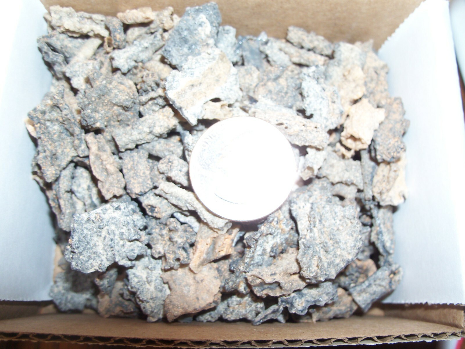 1 Fulgurite Petrified Lightning. About 3/8 to 7/8 inch long.