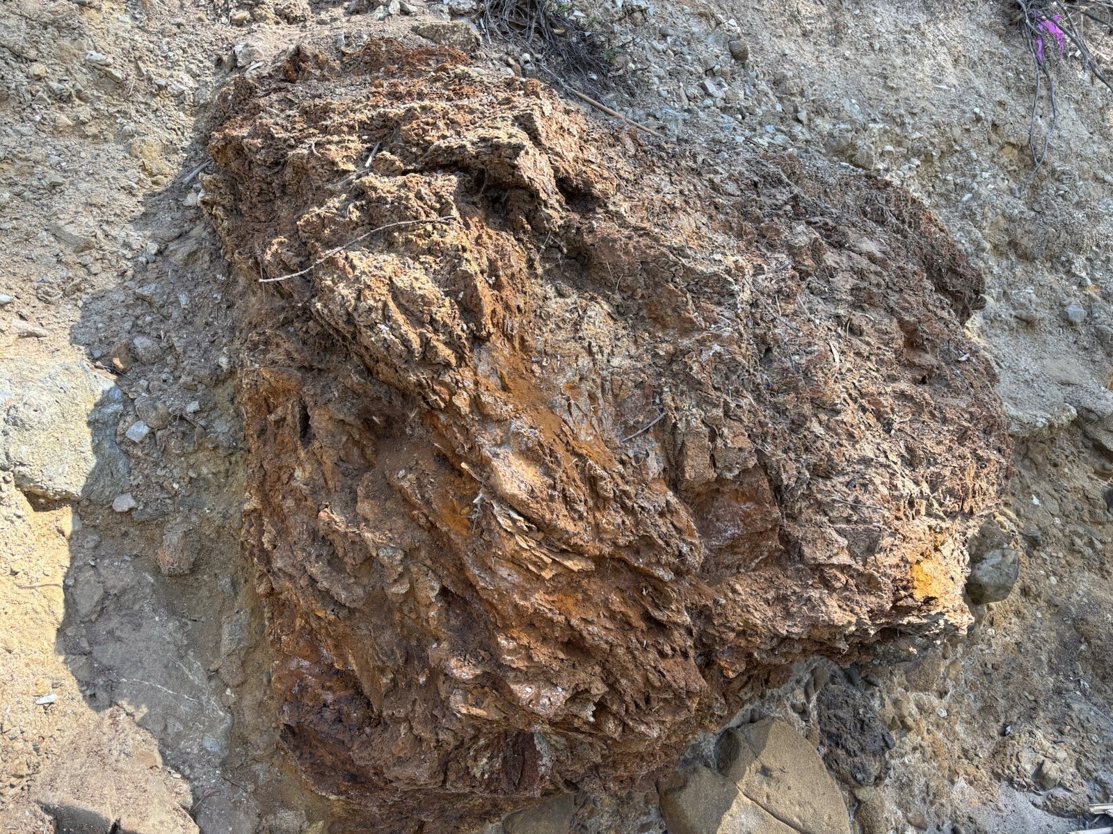 Gossan or iron cap Specimens from Ore deposit Mineral Vein in California.