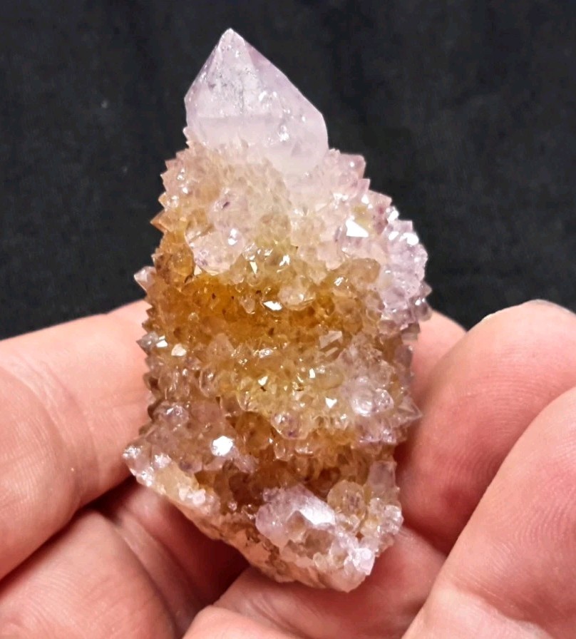 2″ CACTUS QUARTZ AMETHYST AMETRINE from Mpumalanga, South Africa