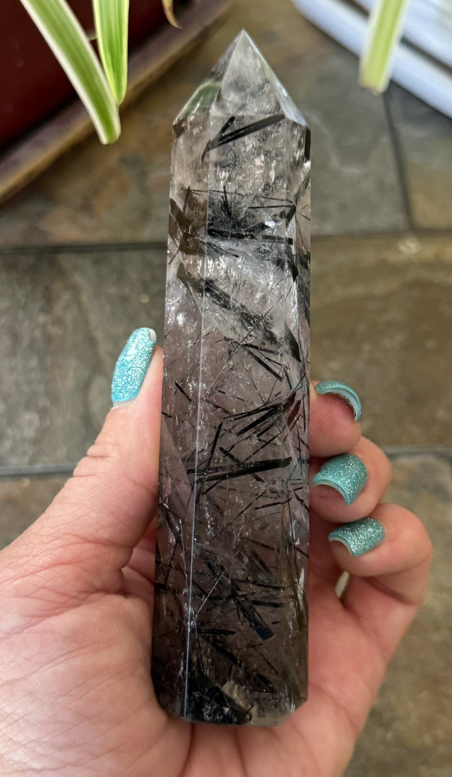 Natural Black Tourmaline in Quartz Tower Polished Crystal Point Collector, 6 “