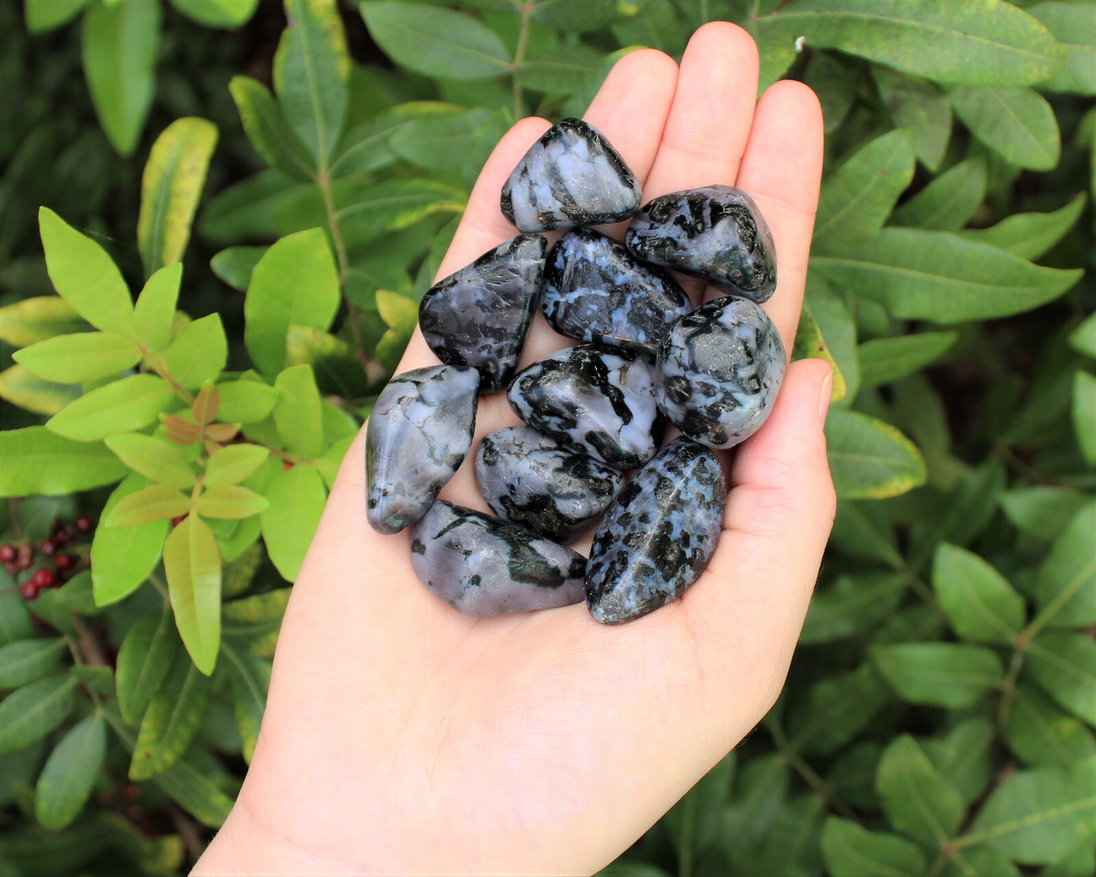 Indigo Gabbro Tumbled Stones – Choose How Many (Mystic Merlinite Crystals)