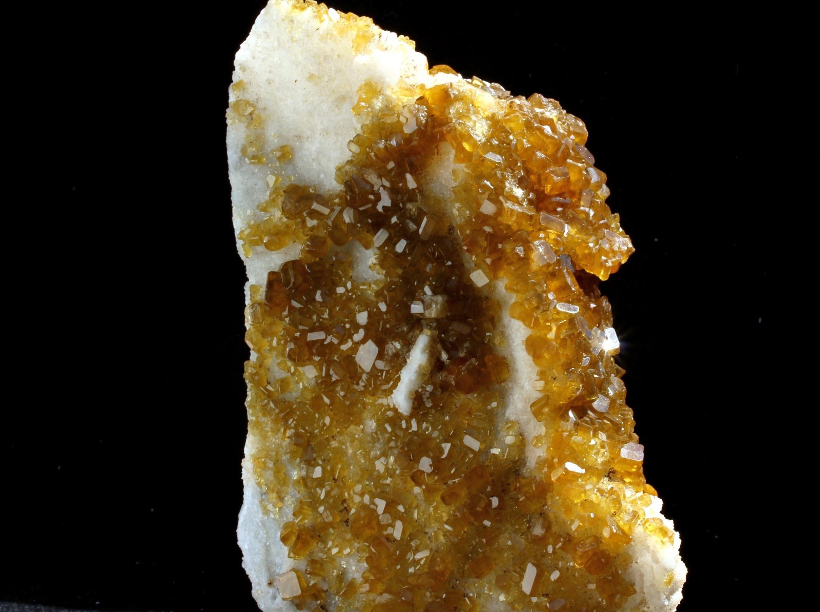 3.0Lbs Super Bright Golden Barite Crystals on White Quartz Mineral Specimen!