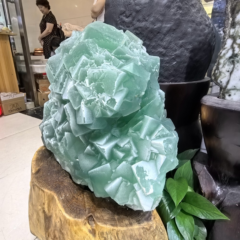 110LB Top Natural Green Fluorite Quartz Cluster Crystal Mineral Specimen + stand