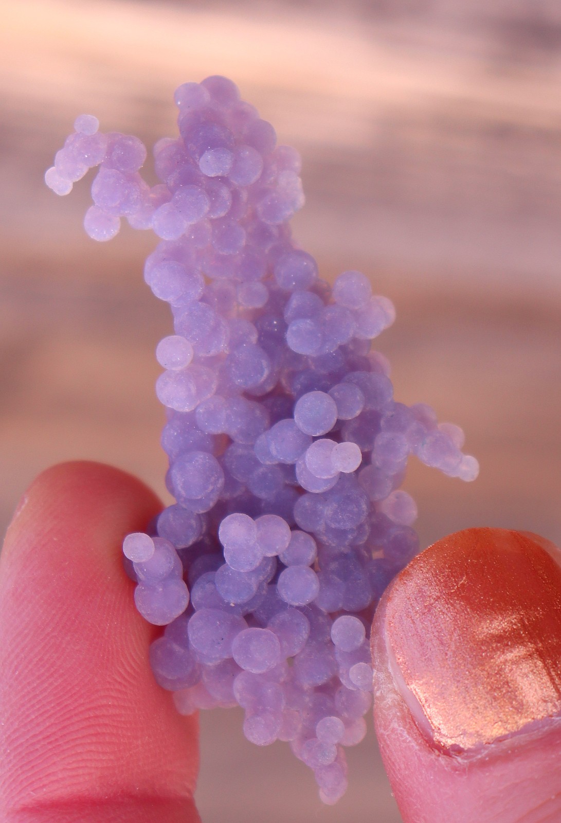 Grape Agate From Indonesia Satiny Purple Color WOW 5.5 cms (: