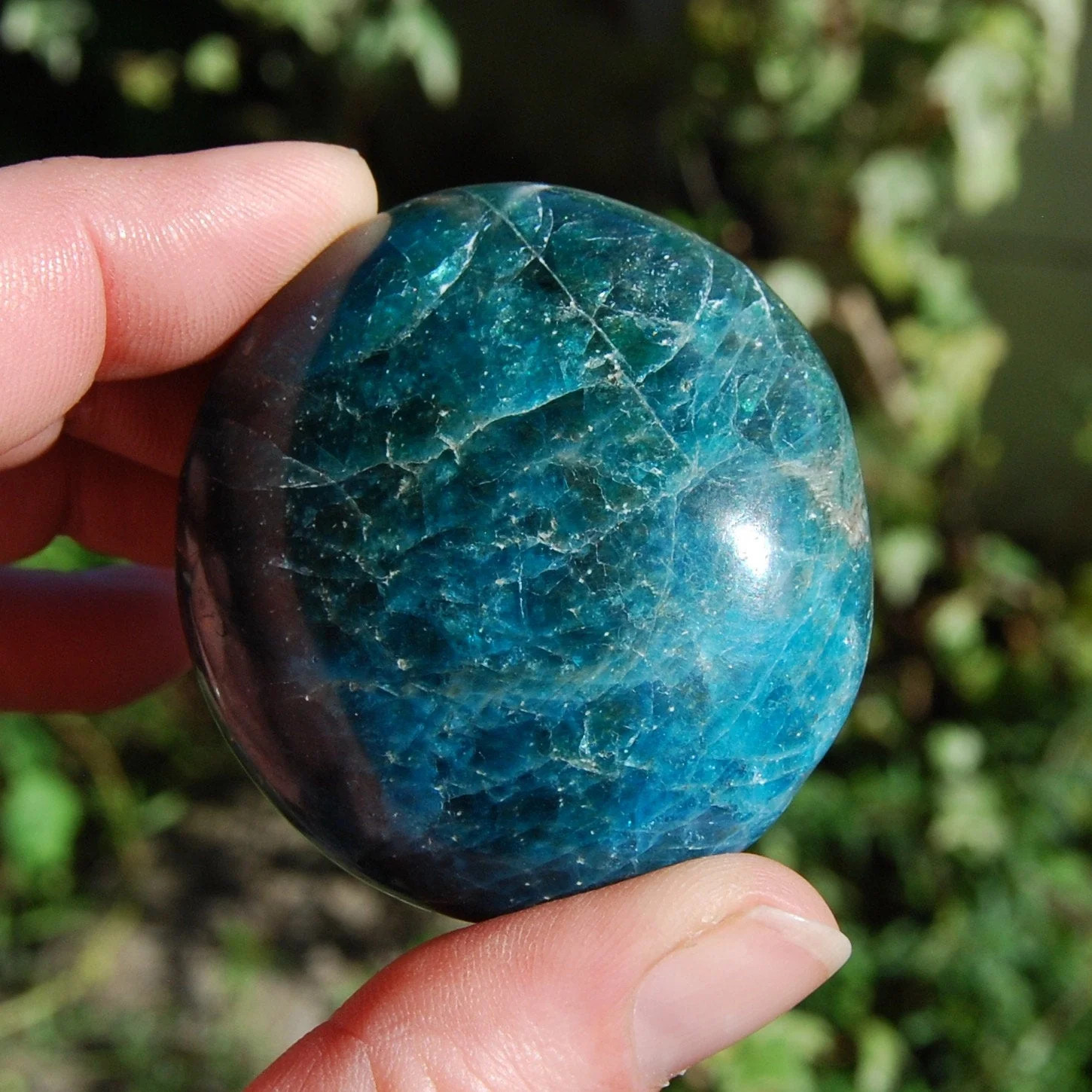 ONE Natural Gemmy Apatite Crystal Palm Stone, Madagascar