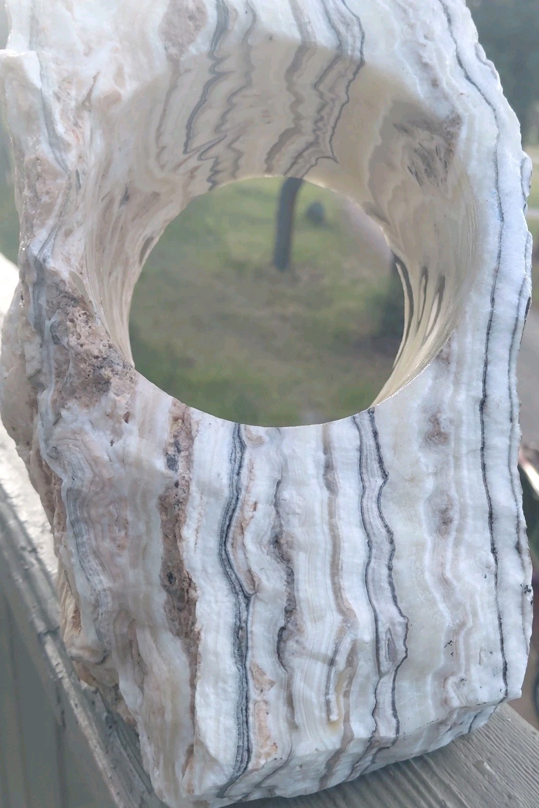 13.25Lb Zebra Calcite W CORED 4″ “Window” Display UV+ Bands Wrap Unique Décor