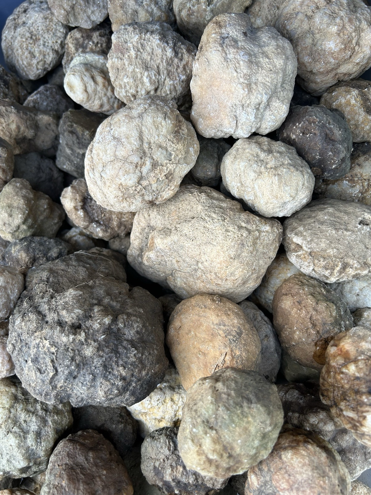 2 Lbs Bulk Lot Unopened Geodes/Nodules Natural Solid, Semi Solid-Break Your Own