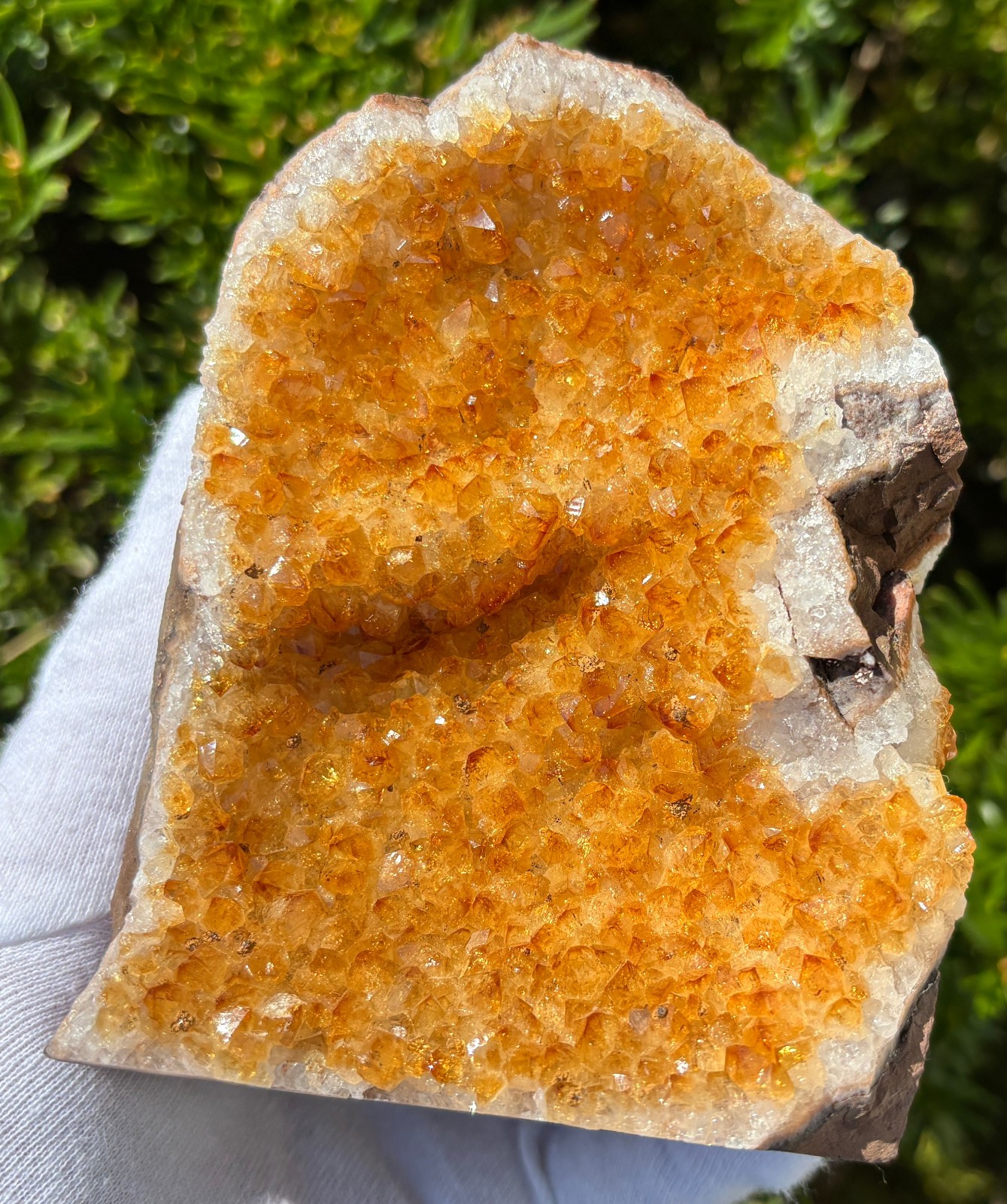 USA SALE 5.3LB LOT 3 CITRINE FREE STANDING SPECIMEN TREATED AMETHYST GOLD GOLDEN