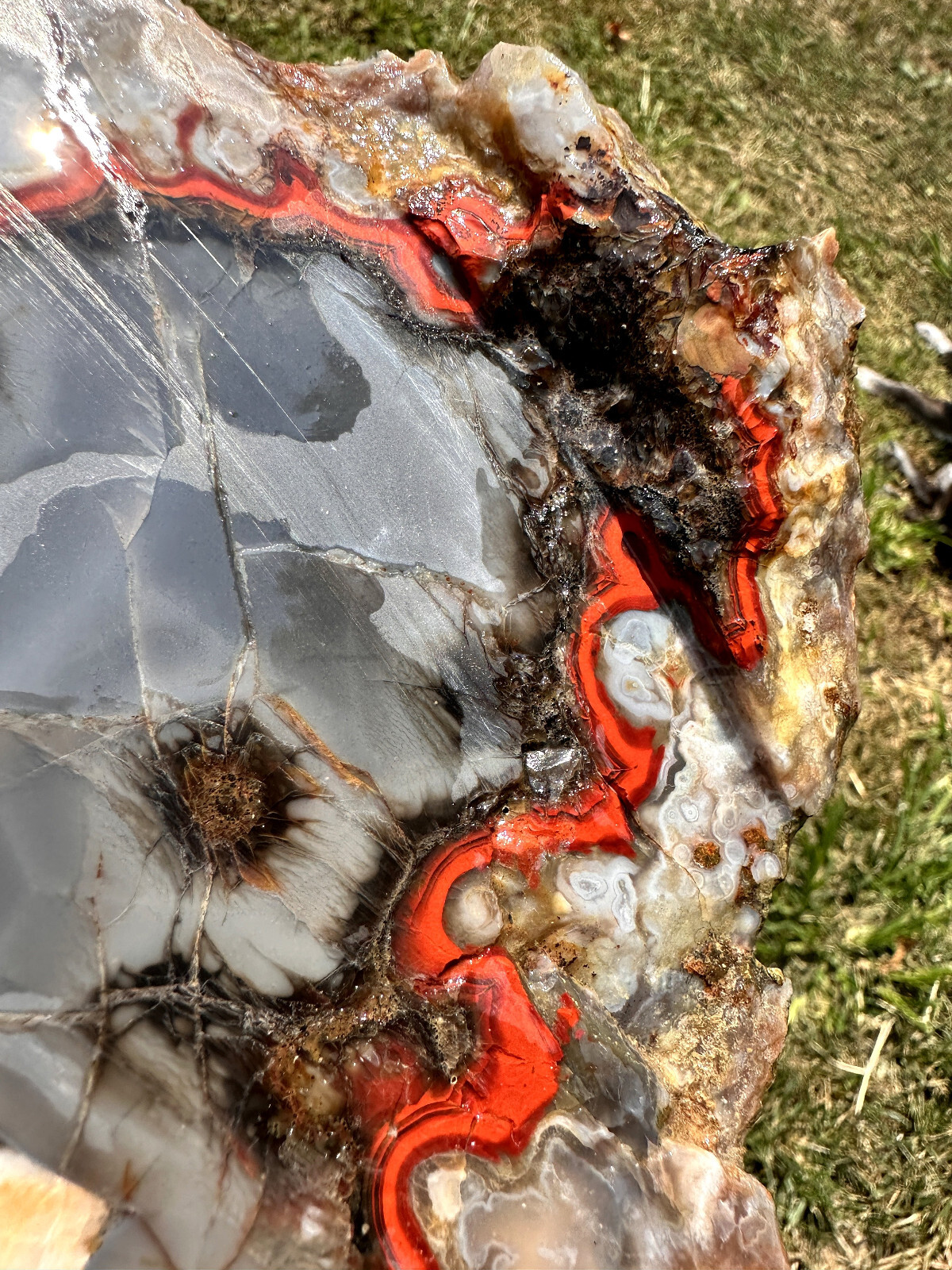 6 1/2 INCHES__Beautiful Imperial Kentucky Agate Slab from Estill County
